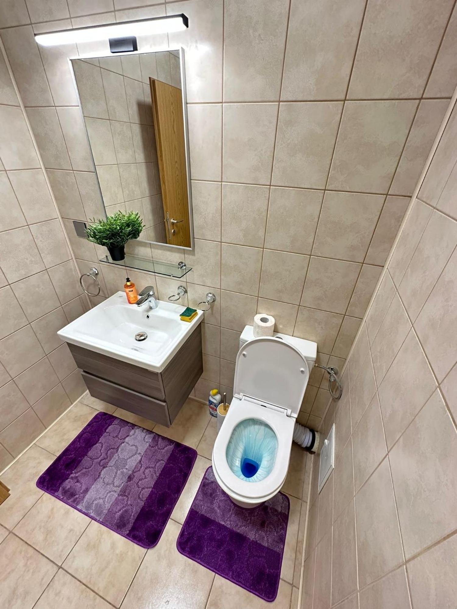 Centru Unirii Luxury Vip Palmier Apartament 2 Camere Cu Terasa Exterioara Amenajata ! Parcare Subterana Privata Climatizata Si Supravegheata Video Dar Doar Cu Rezervare In Limita Locurilor Disponibile !Proprietate In Regim Hoteliep - Nu Are Bucatarie Bukareszt Zewnętrze zdjęcie